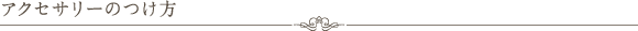 title_accessory.gif